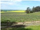 * 206.75ha “Range Park” 511acs, Hill River SA 5453
