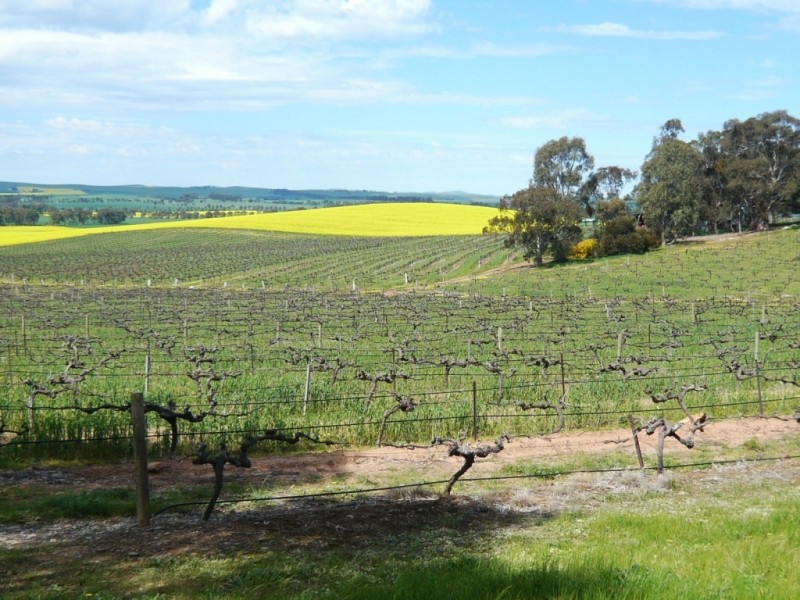 * 206.75ha “Range Park” 511acs, Hill River SA 5453