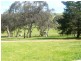 * 206.75ha “Range Park” 511acs, Hill River SA 5453