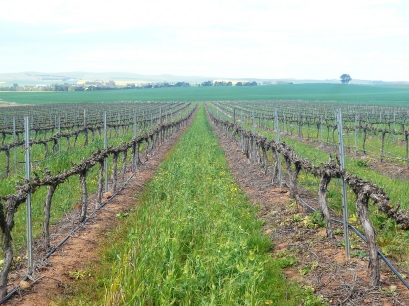 * 206.75ha “Range Park” 511acs, Hill River SA 5453