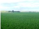 * 206.75ha “Range Park” 511acs, Hill River SA 5453