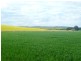 * 206.75ha “Range Park” 511acs, Hill River SA 5453