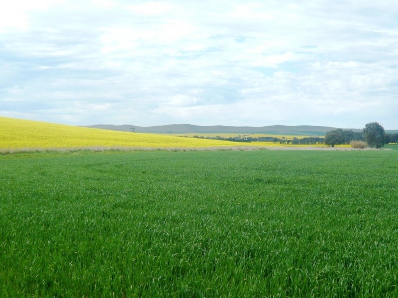 * 206.75ha “Range Park” 511acs, Hill River SA 5453