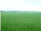 * 206.75ha “Range Park” 511acs, Hill River SA 5453