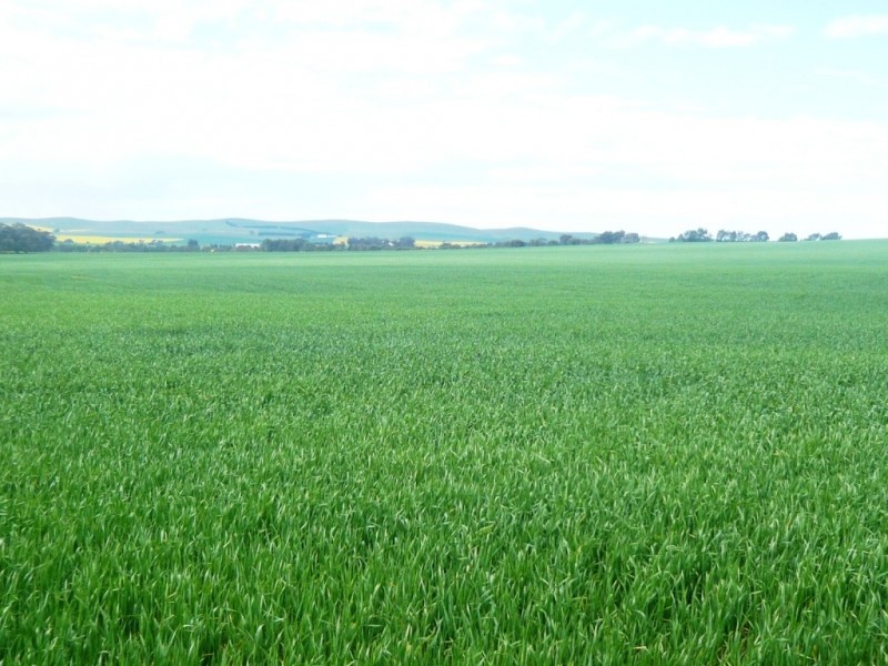 * 206.75ha “Range Park” 511acs, Hill River SA 5453