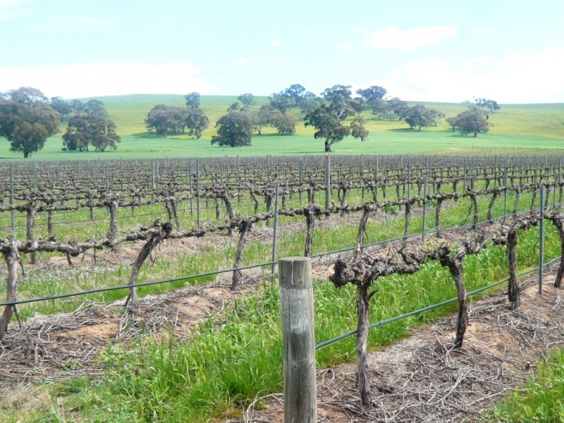* 206.75ha “Range Park” 511acs, Hill River SA 5453