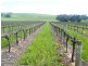 * 206.75ha “Range Park” 511acs, Hill River SA 5453