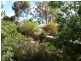1 Cooper Street, Riverton SA 5412