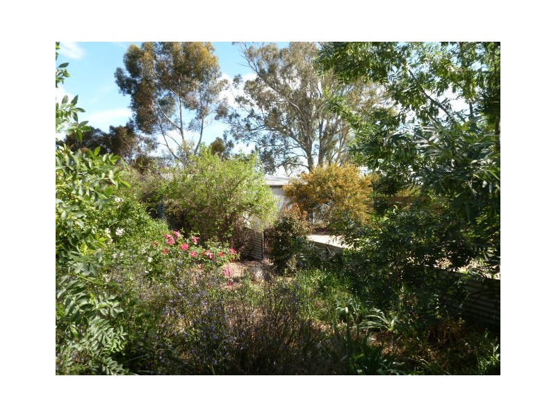 1 Cooper Street, Riverton SA 5412