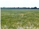* 240.12ha Moores 593.45acs, Minlaton SA 5575