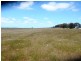 * 240.12ha Moores 593.45acs, Minlaton SA 5575