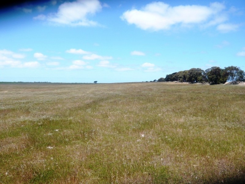 * 240.12ha Moores 593.45acs, Minlaton SA 5575