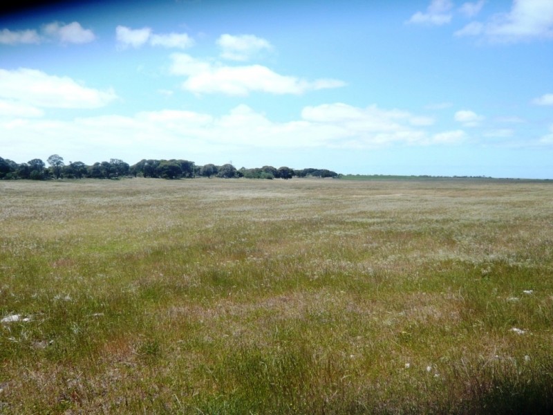* 240.12ha Moores 593.45acs, Minlaton SA 5575