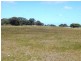 * 240.12ha Moores 593.45acs, Minlaton SA 5575