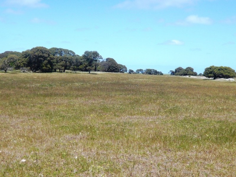 * 240.12ha Moores 593.45acs, Minlaton SA 5575