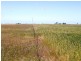 * 240.12ha Moores 593.45acs, Minlaton SA 5575