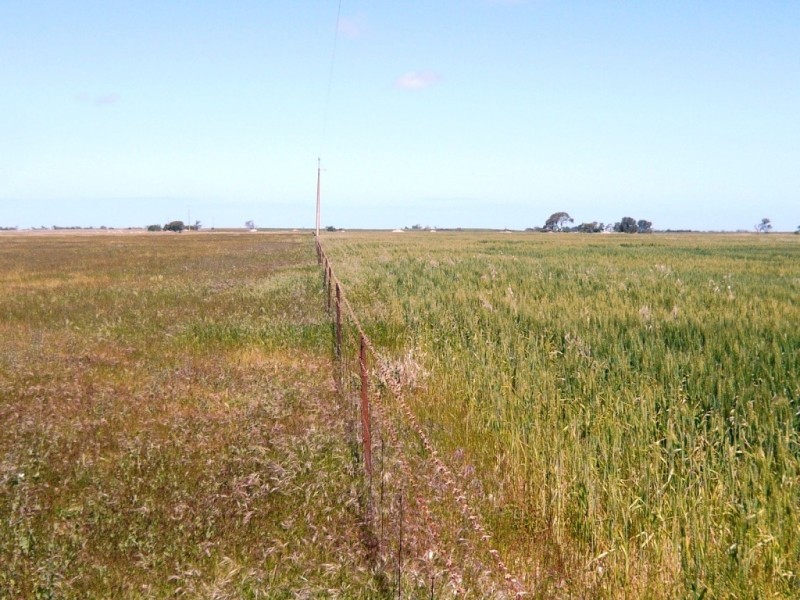 * 240.12ha Moores 593.45acs, Minlaton SA 5575