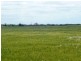 * 240.12ha Moores 593.45acs, Minlaton SA 5575