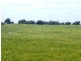 * 240.12ha Moores 593.45acs, Minlaton SA 5575