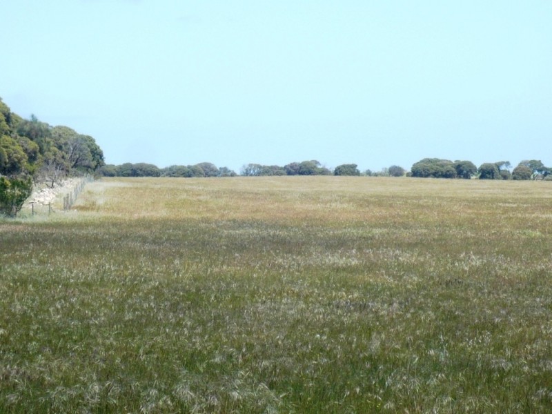 * 240.12ha Moores 593.45acs, Minlaton SA 5575