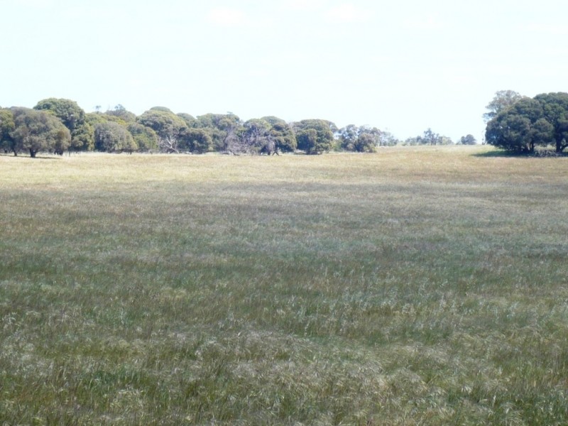 * 240.12ha Moores 593.45acs, Minlaton SA 5575