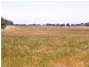 * 240.12ha Moores 593.45acs, Minlaton SA 5575