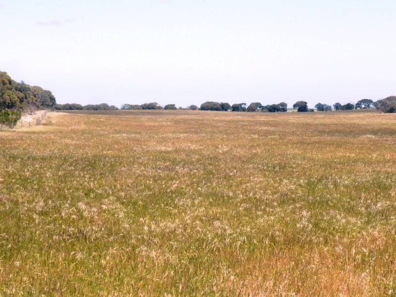 * 240.12ha Moores 593.45acs, Minlaton SA 5575