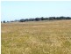 * 240.12ha Moores 593.45acs, Minlaton SA 5575