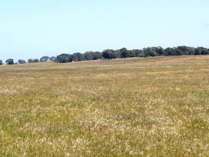 * 240.12ha Moores 593.45acs, Minlaton SA 5575