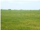 * 240.12ha Moores 593.45acs, Minlaton SA 5575