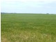 * 240.12ha Moores 593.45acs, Minlaton SA 5575
