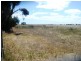* 240.12ha Moores 593.45acs, Minlaton SA 5575
