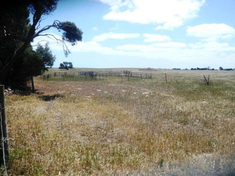 * 240.12ha Moores 593.45acs, Minlaton SA 5575