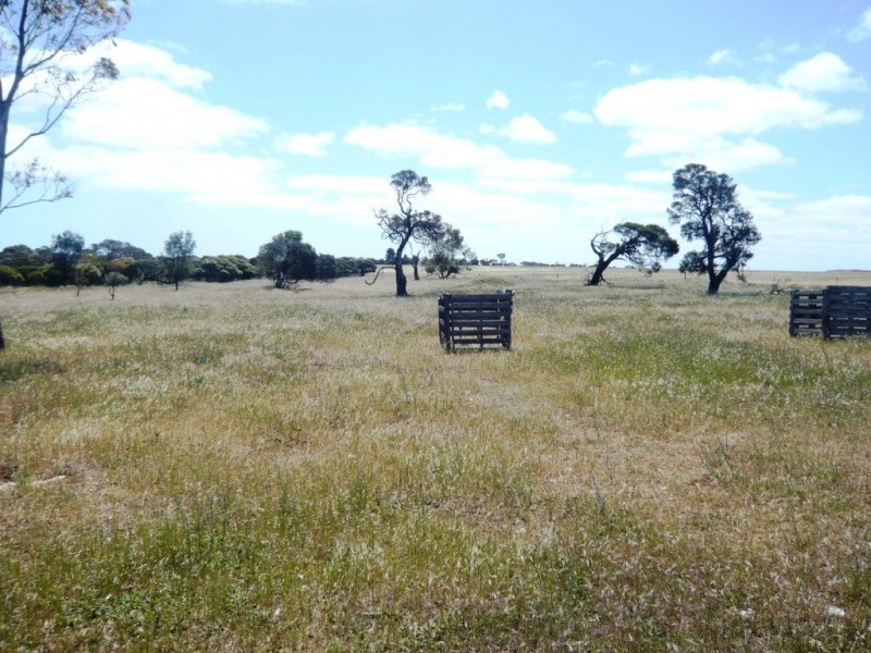 * 240.12ha Moores 593.45acs, Minlaton SA 5575