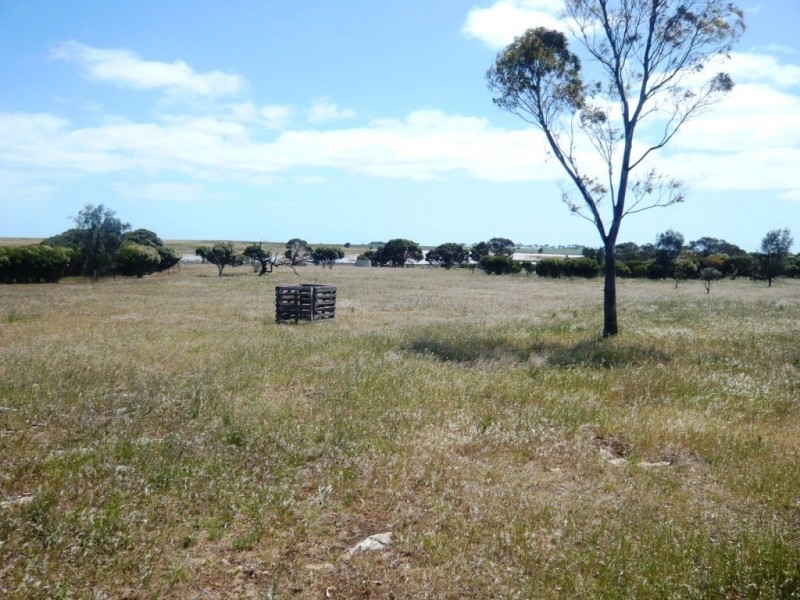 * 240.12ha Moores 593.45acs, Minlaton SA 5575