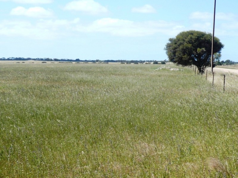 * 240.12ha Moores 593.45acs, Minlaton SA 5575