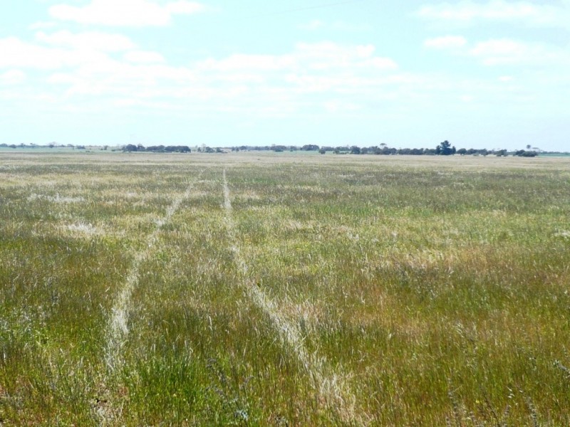 * 240.12ha Moores 593.45acs, Minlaton SA 5575