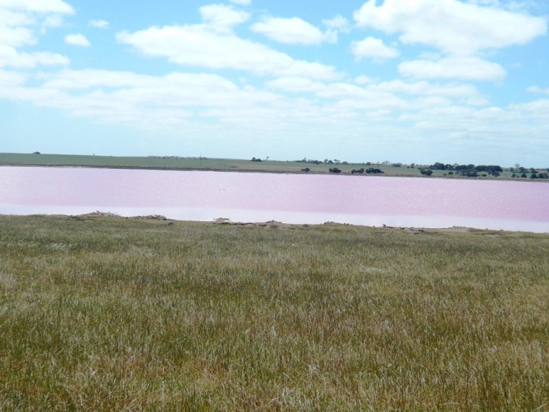 * 240.12ha Moores 593.45acs, Minlaton SA 5575