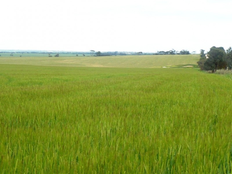 * 136ha Allotment 353 336acs, Curramulka SA 5580