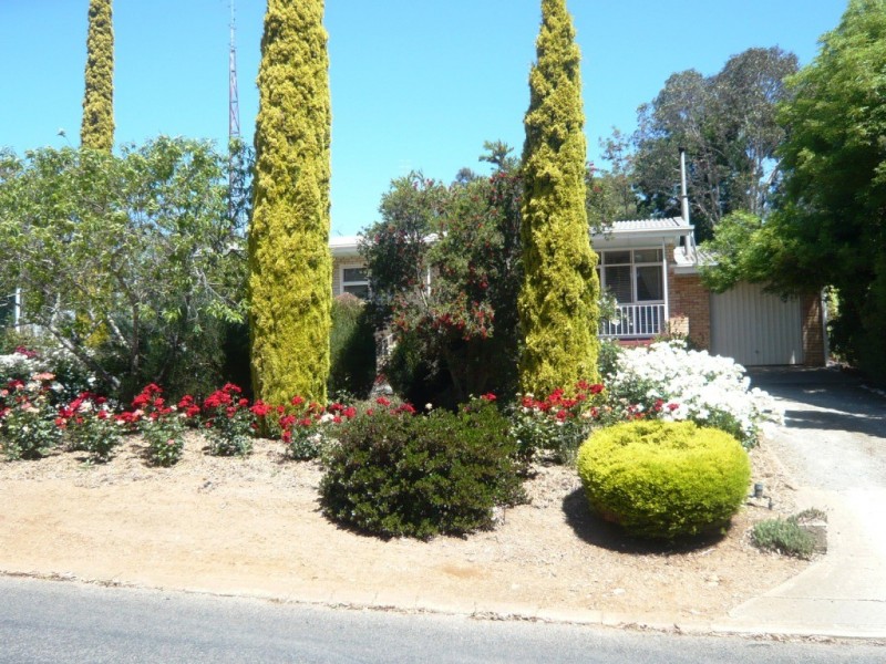 14 Powell Street, Clare SA 5453