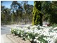 14 Powell Street, Clare SA 5453