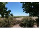 Lot 4 Mount Rufus Road, Clare SA 5453