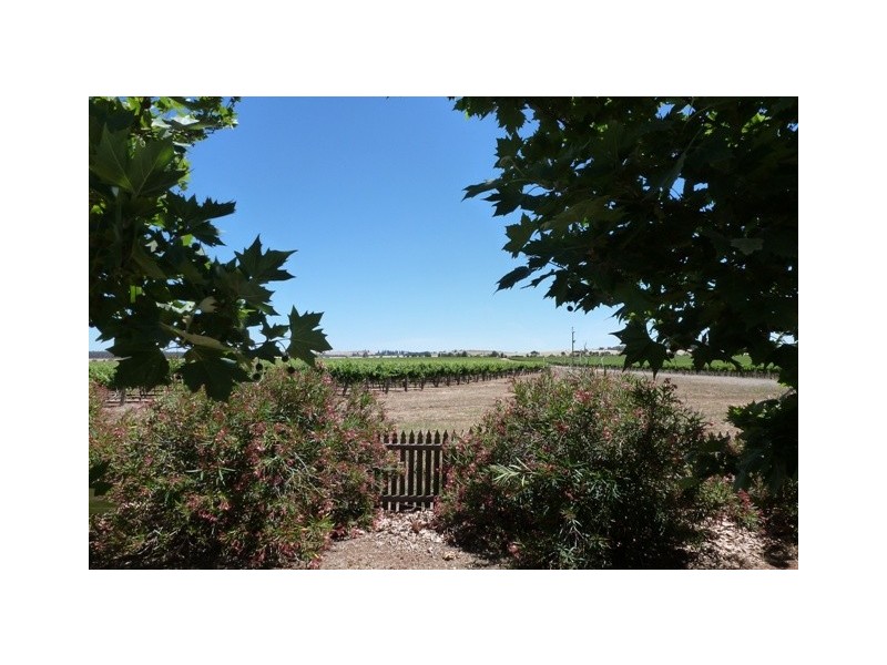 Lot 4 Mount Rufus Road, Clare SA 5453