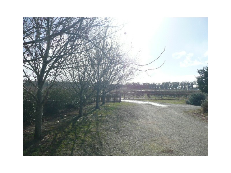 Lot 4 Mount Rufus Road, Clare SA 5453