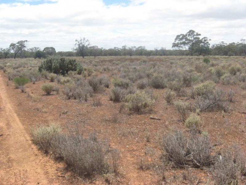 - 1333ha “Raglass” 3,295acs, Hallett SA 5419