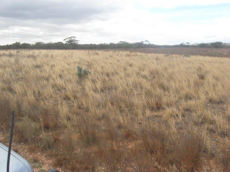 - 1333ha “Raglass” 3,295acs, Hallett SA 5419