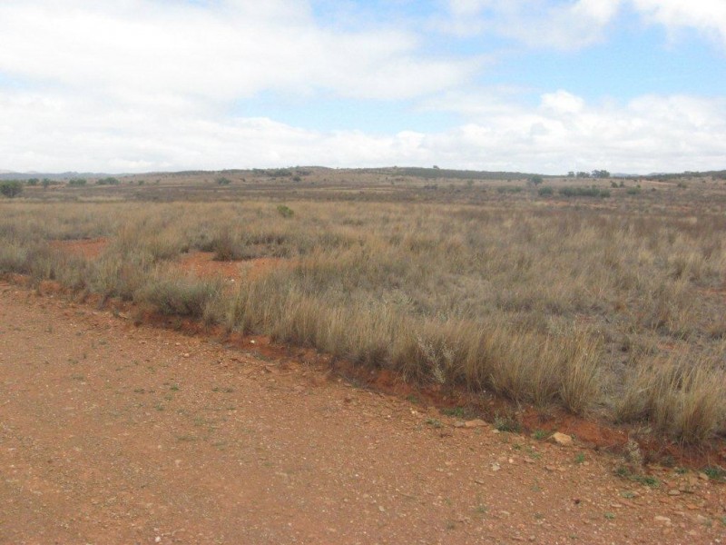 - 1333ha “Raglass” 3,295acs, Hallett SA 5419