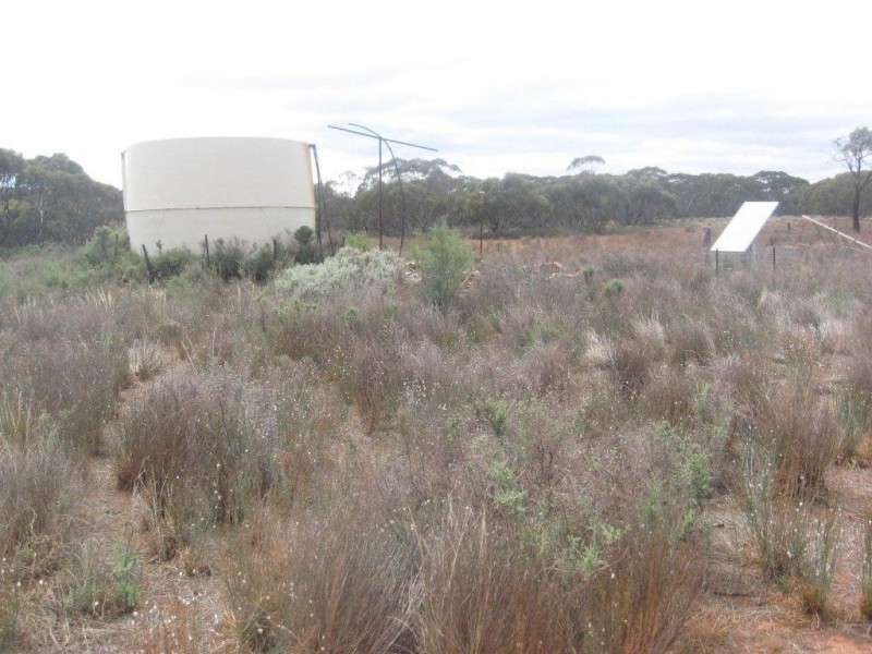 - 1333ha “Raglass” 3,295acs, Hallett SA 5419