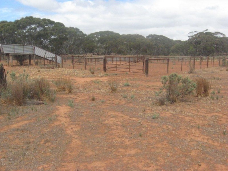 - 1333ha “Raglass” 3,295acs, Hallett SA 5419