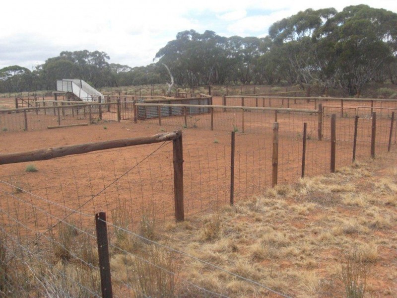 - 1333ha “Raglass” 3,295acs, Hallett SA 5419